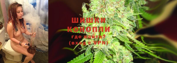 крисы Володарск