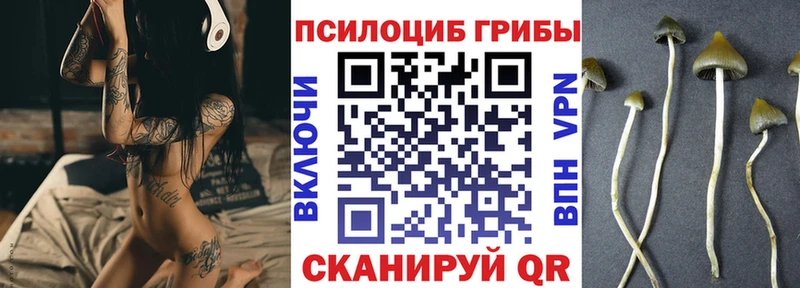 Псилоцибиновые грибы Psilocybine cubensis  Купить  Серафимович 